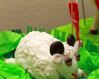 IMG_4096