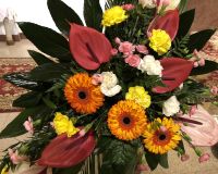 IMG_0019