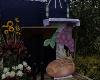 IMG_7044