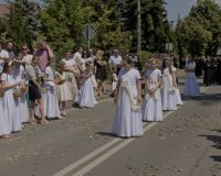 IMR_2206