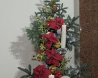 IMR_3775