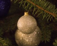 IMR_6567_v1