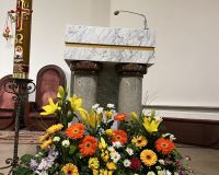 IMG_5491