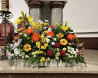 IMG_5498