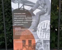IMG_07_8394