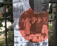 IMG_16_8383