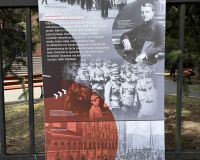 IMG_19_8379