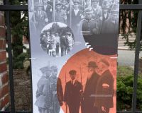 IMG_26_8374