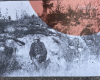IMG_29_8373