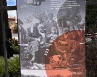 IMG_36_8364