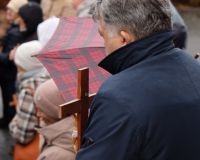 IMR_9335